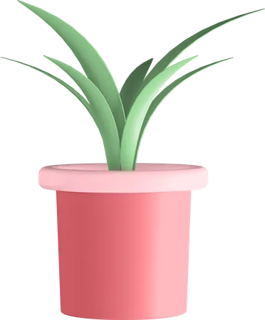 Vaso de planta  3D Illustration