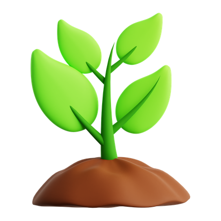 Vaso de planta  3D Icon