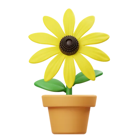 Vaso de flores Rudbeckia  3D Icon
