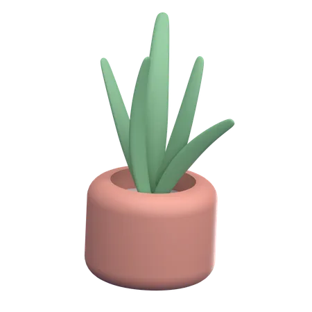 Vaso de planta  3D Icon