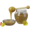 Vegan Honey