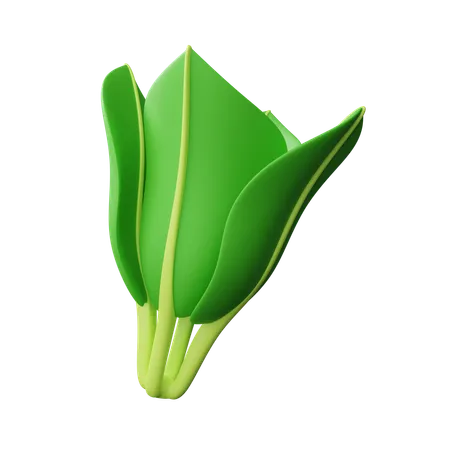 Vegetable  3D Icon
