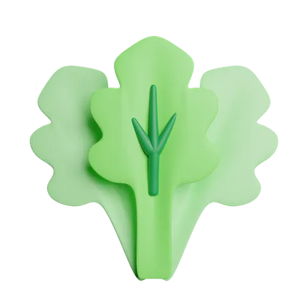 Vegetable  3D Icon