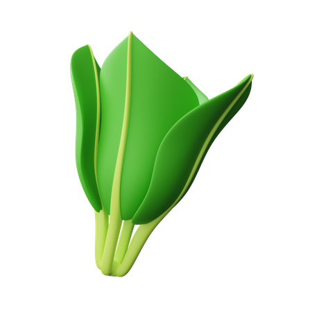 Vegetable  3D Icon
