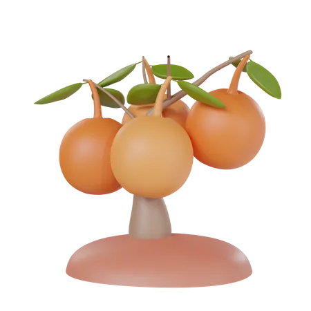 Vegetable Harvest  3D Icon