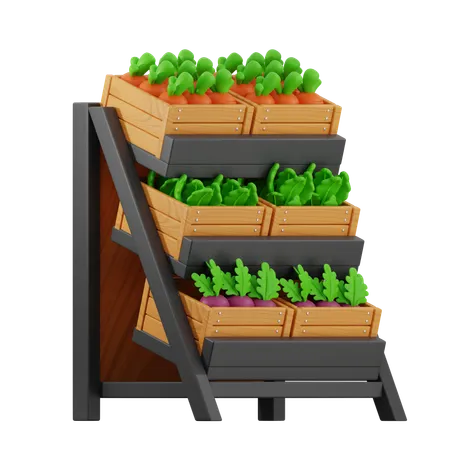 Vegetable in Shelf Market  3D Icon