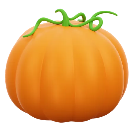 Vegetable Pumpkin  3D Icon