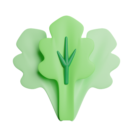 Vegetal  3D Icon