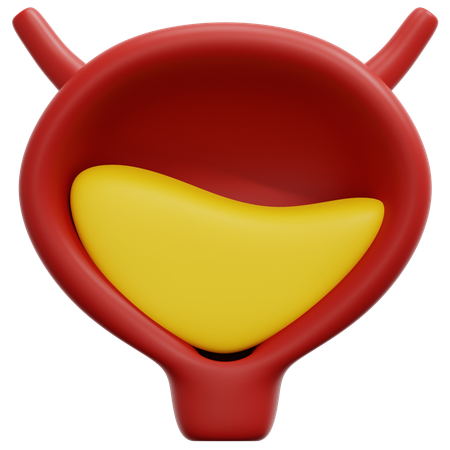 Vejiga  3D Icon