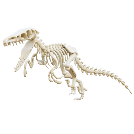 Vélociraptor  3D Icon