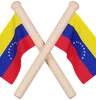 Venezuela Flag