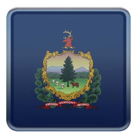 Vermont Square Flag  3D Icon