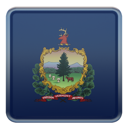 Vermont Square Flag  3D Icon