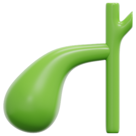 Vésicule biliaire  3D Icon