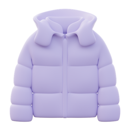 Veste d'hiver femme  3D Icon