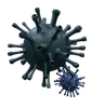 Virus