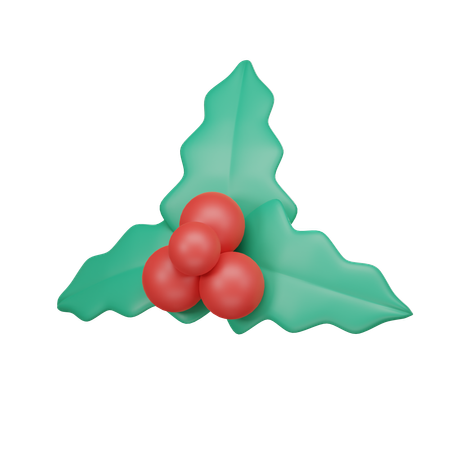 Visco de natal  3D Icon