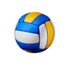 Volley ball