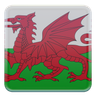 3d for wales flag