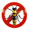 Wasp