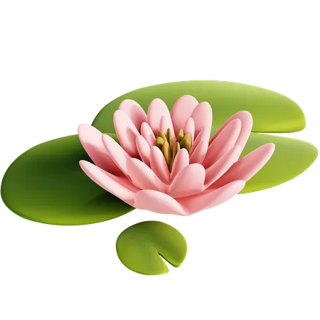 Water Lily  3D Icon