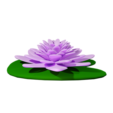 Water lily  3D Icon