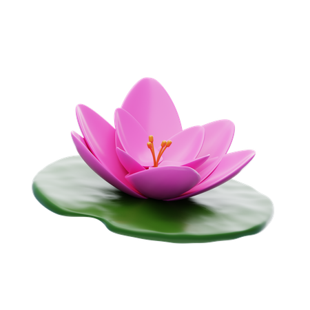 Water Lily  3D Icon