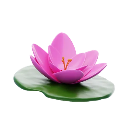 Water Lily  3D Icon