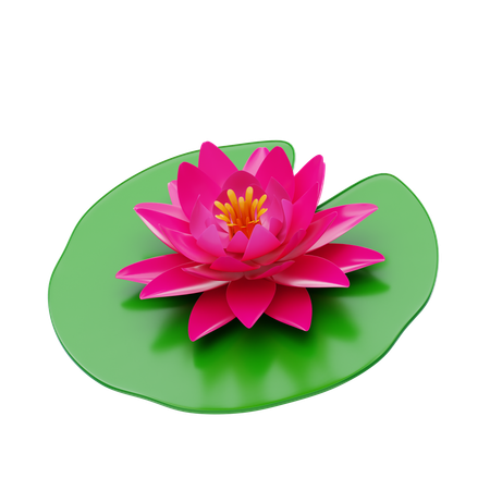 Water Lily  3D Icon