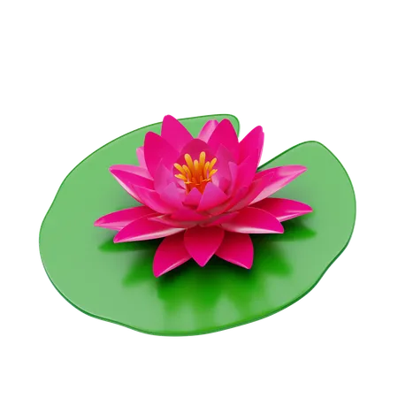 Water Lily  3D Icon