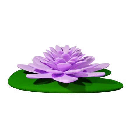 Water lily  3D Icon