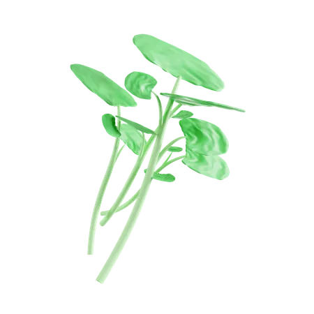transparent pixel plants tumblr