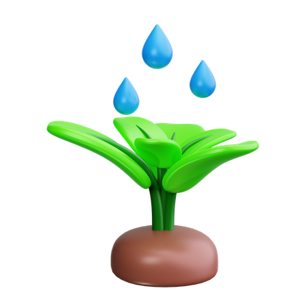 Watering Can  3D Icon