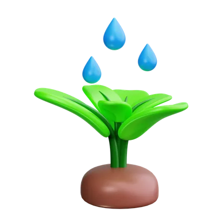 Watering Can  3D Icon