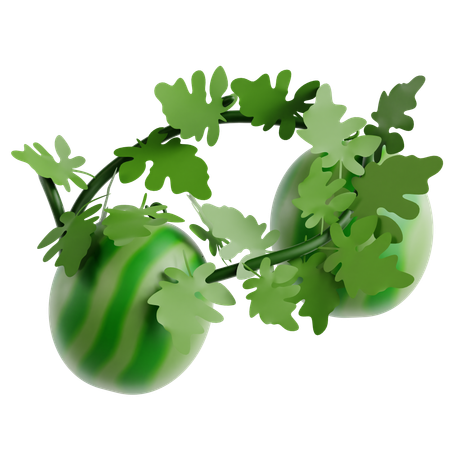 Watermelon  3D Icon