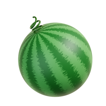 Watermelon  3D Illustration