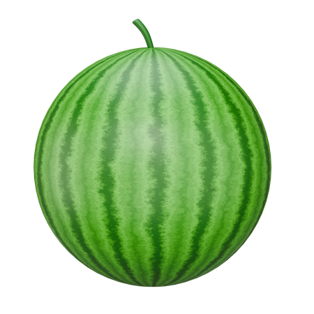 Watermelon Fruit  3D Icon
