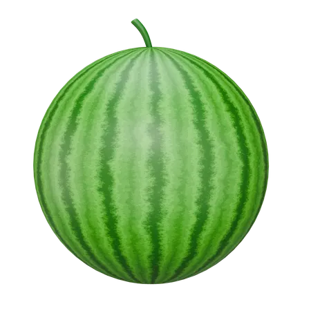 Watermelon Fruit  3D Icon