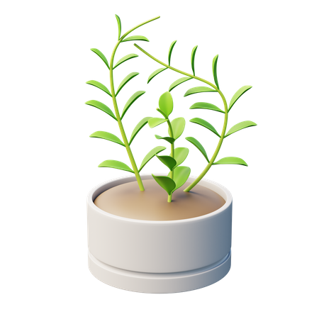 Wax Plant  3D Icon