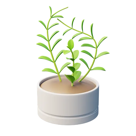 Wax Plant  3D Icon