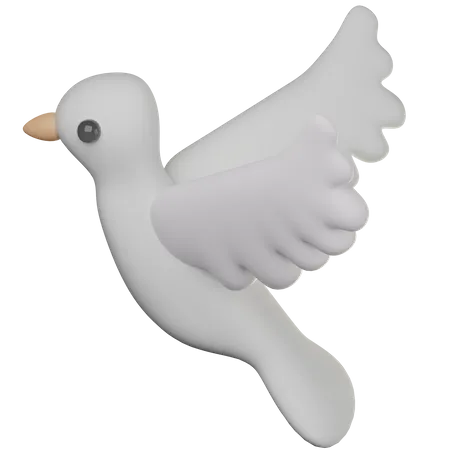 Wedding Dove  3D Icon