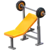 Weight Bench