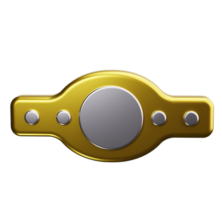 Weightlifting Belt  3D Icon