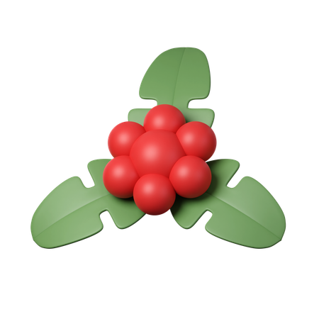 Weihnachtsstechpalme  3D Icon