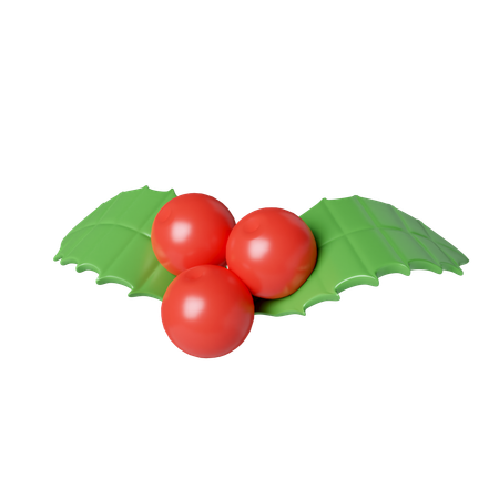 Weihnachtsstechpalme  3D Icon