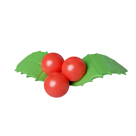 Weihnachtsstechpalme  3D Icon