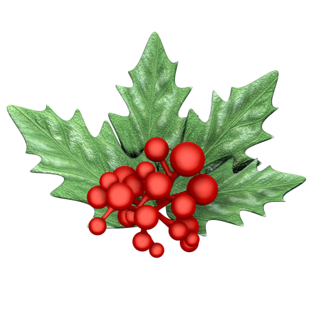 Weihnachtsstechpalme  3D Icon