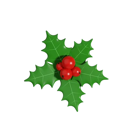 Weihnachtsmistel  3D Icon