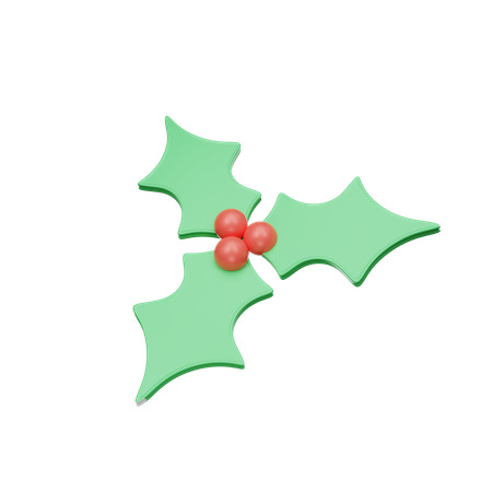 Weihnachtsblätter  3D Icon