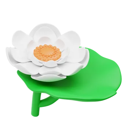 Weiße Lotusblume  3D Icon